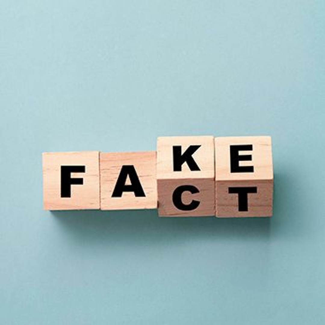 CSIR warns of disinformation threat to upcoming elections