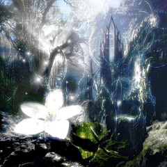 regalia divine
