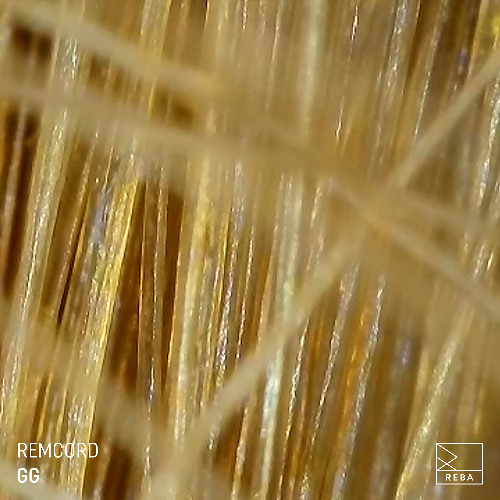 Premiere: Remcord - GG [REBA]