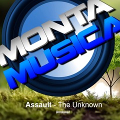 Assault - The Unknown