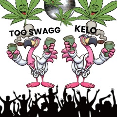 FLAMINGO SWAG🦩🦩 w/ kelo