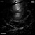 Artwork for Neumonic & Path2 - Eagle Dub (ROUZ Remix)