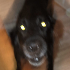 a man like you (take no. 1)