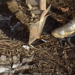 AARON RUMORE - ACQUA SANTA SEXSAFARISEX REMIX