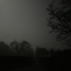 Find Love Or Die Trying!