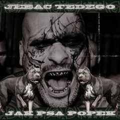 JEBAĆ TEDEGO JAK PSA POPEK (p. Gfelds)