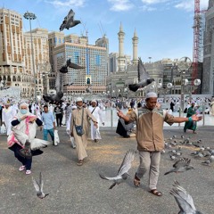 انشودة  يا ذاهبين الى النبي خذوني -اداء ابو بكر محمد طه