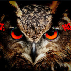 P4CE BEATS - PADAM