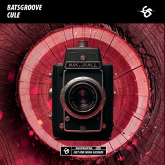 BatsGroove - Cule