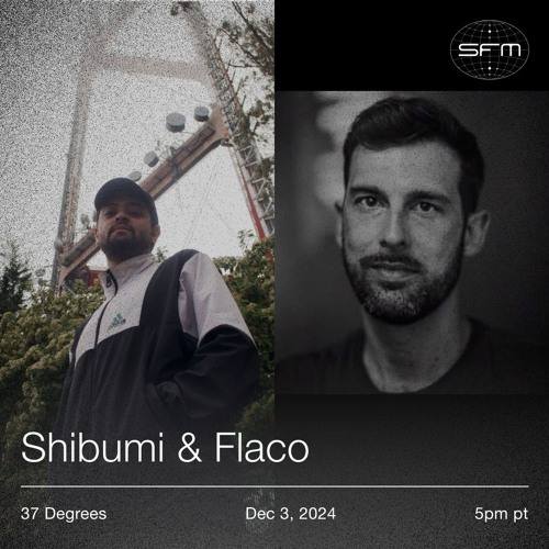 37 Degrees 02: Flaco, Shibumi