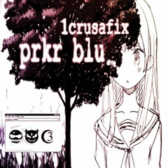 prkr blu  - STOPIT + 1CRUSAFIX (MCB) )