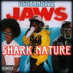 Shark Nature [prod.kcdaproducerr] (Official Audio)