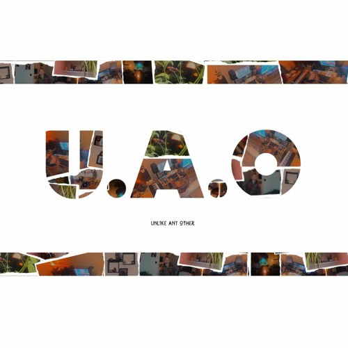 U.A.O. Instrumentals - Can't Stop Loving Hip - Hop (Produced By Unlike Any Other Records)