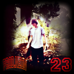 23 (prod.neon)
