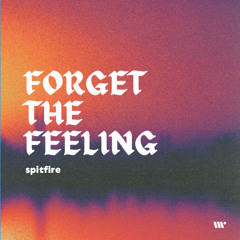 FLOW219: Spitfire - Forget The Feeling