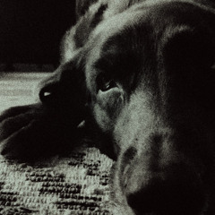 she sits by the window