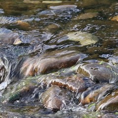 Documental sonoro Estero Limache. Memorias de una Cuenca
