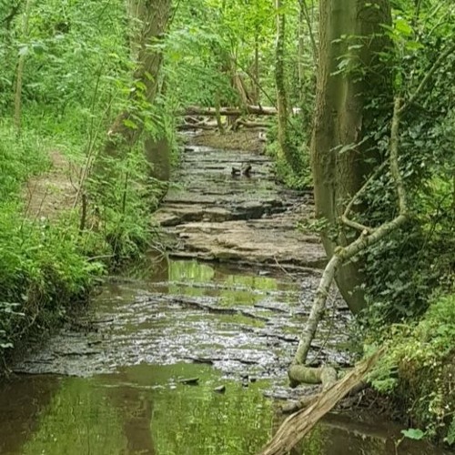 Stream Babbling Brook Arrowe Country Park Wirral UK By Wild rumpus 