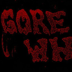 FLEXIN ON THESE HOES ( SONOTTI NEW LEAK)