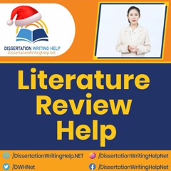 Expert Literature Review Assistance Services