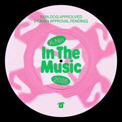 K-Nin - In The Music [Free DL]