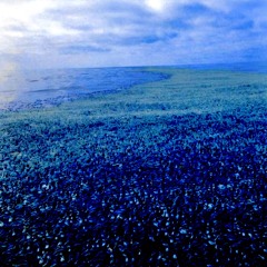 someoneisalwaysmovingonthesurface