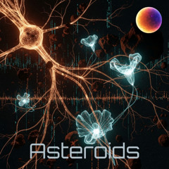 Asteroids