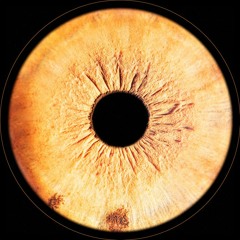 Premiere: HD Substance "Astronomical Guidepost" - NORD LTD