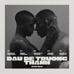 Đau Để Trưởng Thành 2025 - ( Zoanh Remix )