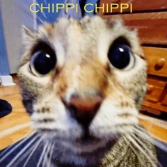 Chippi Chippi Chappa Chappa (Trap Edition)