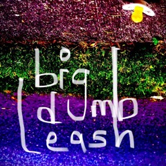 Big Dumb Leash