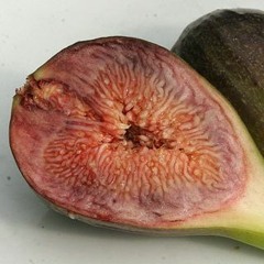 Episode 1: Horny konger