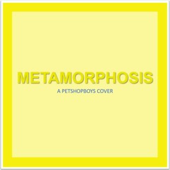 Metamorphosis - Pet Shop Boys COVER VERSION