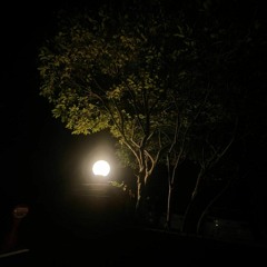 아름다운 구속 cover