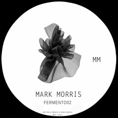 Mark Morris - Fermento02 (Original Mix)