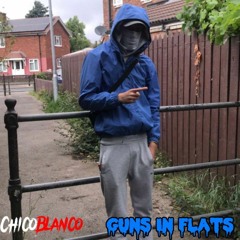 Guns In Flats