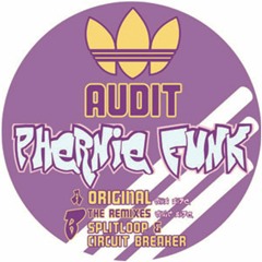 Audit - Phernie Funk