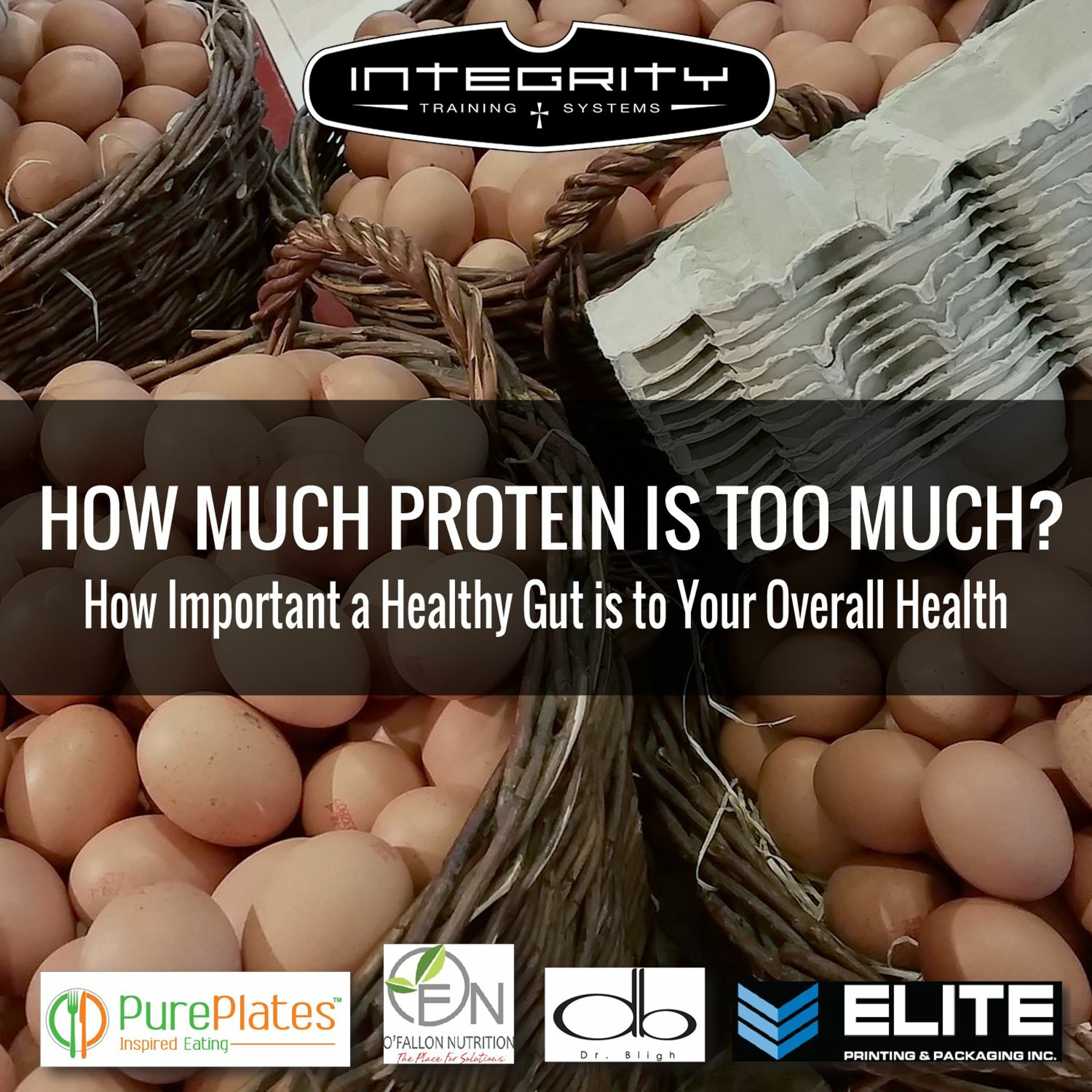 How Much Protein Is Too Much? How Important a Healthy Gut is to Your Overall Health episode artwork