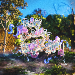 PREMIERE : Maranta - Solid Matter (Paradise Palms Records)