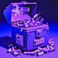 EL PIEL DORADA ::: STRIDAH ::: SUENA EL MC 🚬 (BOOTLEG)