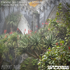 Comme Des Larmes invite Schwabe