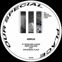 DEV003 / Nørus - Our Special Place EP