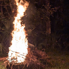 more from the masses