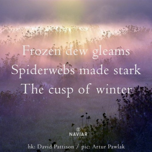 Frozen Dew Gleams   ( Naviarhaiku 460 )