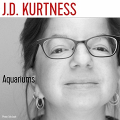 J.D. Kurtness nous parle de son roman Aquariums