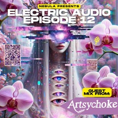 Electric Audio Episode 12 with Artsychoke