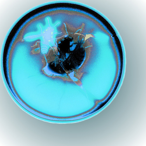 Vortex76