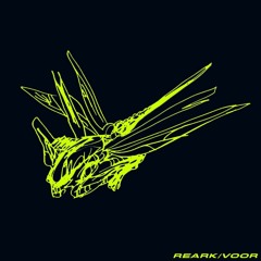 REARK & VOOR - PILGRIM