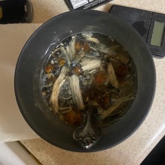 zay nov 2025 beat clips