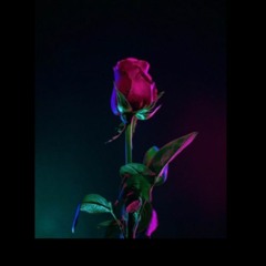 Bicep - Glue (Roses Edit)